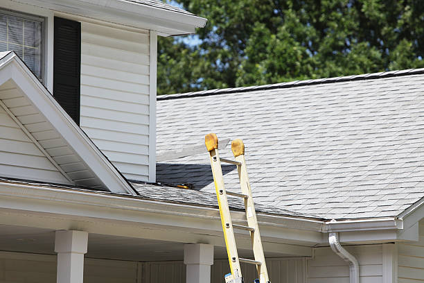 Best Aluminum Siding Installation  in Franconia, VA